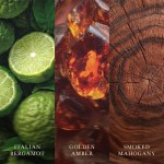 Lumanare Parfumata Borcan Mic Fireside, WoodWick® Lumanare Parfumata Borcan Mic Fireside, WoodWick®