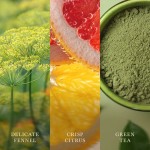 Lumanare Parfumata Borcan Mediu Matcha Zest, WoodWick® Lumanare Parfumata Borcan Mediu Matcha Zest, WoodWick®