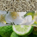 Lumanare Parfumata Borcan Mare White Tea & Jasmine, WoodWick® Lumanare Parfumata Borcan Mare White Tea & Jasmine, WoodWick®