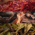 Lumanare Parfumata Ellipse Trilogy Vanilla Embers, WoodWick® Lumanare Parfumata Ellipse Trilogy Vanilla Embers, WoodWick®