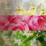 Lumanare Parfumata Borcan Mare Trilogy Floral Blossoms, WoodWick® Lumanare Parfumata Borcan Mare Trilogy Floral Blossoms, WoodWick®