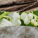 Lumanare Parfumata Borcan Mare Vanilla & Sea Salt, WoodWick® Lumanare Parfumata Borcan Mare Vanilla & Sea Salt, WoodWick®