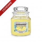 YANKEE CANDLE Home Inspiration Lumanare Parfumata Borcan Mic Lemon-Lime Popsicle 104g YANKEE CANDLE Home Inspiration Lumanare Parfumata Borcan Mic Lemon-Lime Popsicle 104g