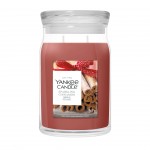 Yankee Candle Lumanare Parfumata Borcan Mare Signature Sparkling Cinnamon Yankee Candle Lumanare Parfumata Borcan Mare Signature Sparkling Cinnamon