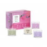 Yankee Candle Set 4 Lumanari Minis in sticla