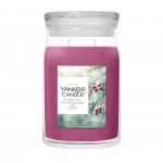 Yankee Candle Lumanare Parfumata Borcan Mare Signature Sparkling Winterberry Yankee Candle Lumanare Parfumata Borcan Mare Signature Sparkling Winterberry