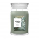 Yankee Candle Lumanare Parfumata Borcan Mare Signature Silver Sage & Pine Yankee Candle Lumanare Parfumata Borcan Mare Signature Silver Sage & Pine