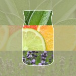Yankee Candle Set 2 rezerve Sage & Citrus pentru aparat electric de parfumarea locuintei Yankee Candle Set 2 rezerve Sage & Citrus pentru aparat electric de parfumarea locuintei