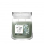 Yankee Candle Lumanare Parfumata Borcan Mediu Signature Silver Sage & Pine Yankee Candle Lumanare Parfumata Borcan Mediu Signature Silver Sage & Pine