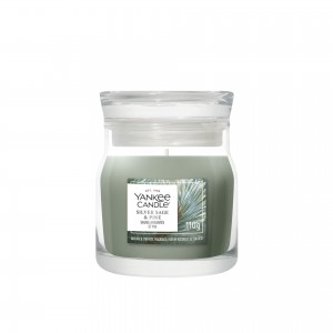 Yankee Candle Lumanare Parfumata Borcan Mic Signature Silver Sage & Pine