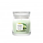 Yankee Candle Lumanare Parfumata Borcan Mic Signature Cucumber Mint Cooler Yankee Candle Lumanare Parfumata Borcan Mic Signature Cucumber Mint Cooler