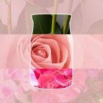 Yankee Candle Lumanare Parfumata Borcan Mic Signature Fresh Cut Roses Yankee Candle Lumanare Parfumata Borcan Mic Signature Fresh Cut Roses