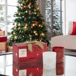 Yankee Candle Scented Moments Set Cadou 2 Lumanari Pahar White Spruce & Grapefruit + Sparkling Cinnamon Yankee Candle Scented Moments Set Cadou 2 Lumanari Pahar White Spruce & Grapefruit + Sparkling Cinnamon