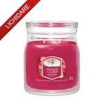 Yankee Candle Lumanare Parfumata Borcan Mediu Signature Santa On Skis