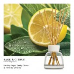 Yankee Candle Betisoare Parfumate Sage & Citrus 100ml Yankee Candle Betisoare Parfumate Sage & Citrus 100ml