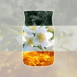 Yankee Candle Lumanare Parfumata Borcan Mic Signature Silver Birch Yankee Candle Lumanare Parfumata Borcan Mic Signature Silver Birch