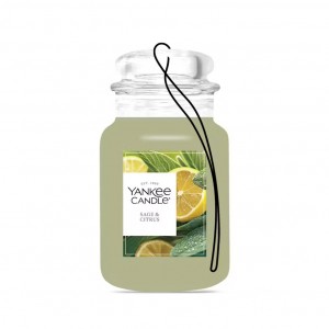 Odorizant Auto Car Jar Sage & Citrus, Yankee Candle 