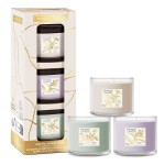 Yankee Candle Little Luxuries Set cadou 3 Lumanari Minis in sticla 3x37g