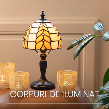Corpuri de iluminat
