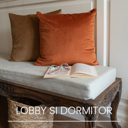 Lobby si Dormitor