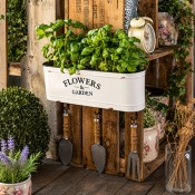 Relaxare in Gradina